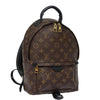 Louis Vuitton Palm Springs PM Rucksack
